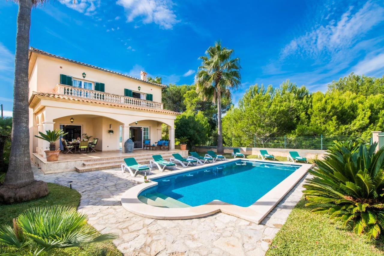 Ideal Property Mallorca - Didi Alcúdia Esterno foto