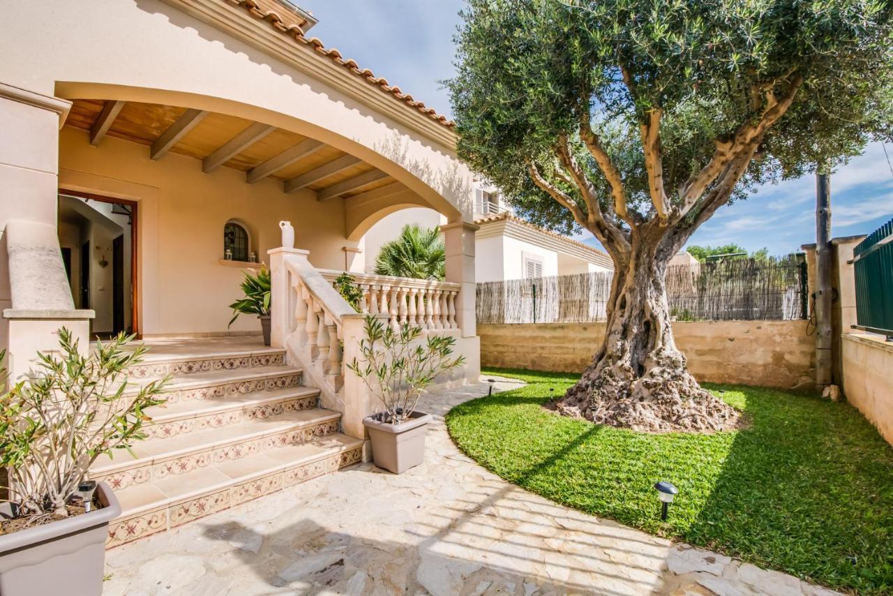Ideal Property Mallorca - Didi Alcúdia Esterno foto